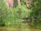 PICTURES/Sedona  West Fork Trail/t_End Of The Trail1.JPG